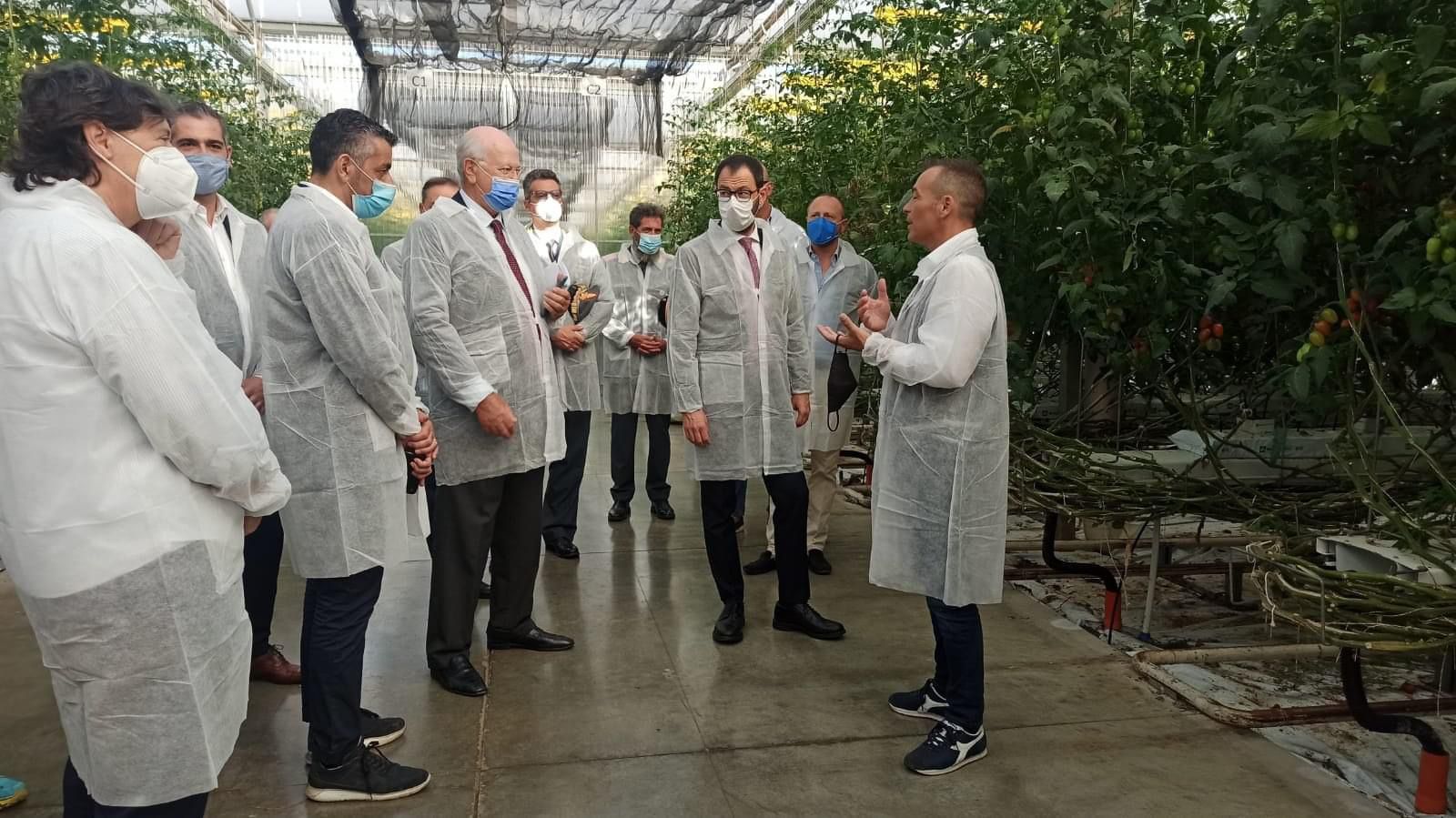 Consulenze con sfera agricola