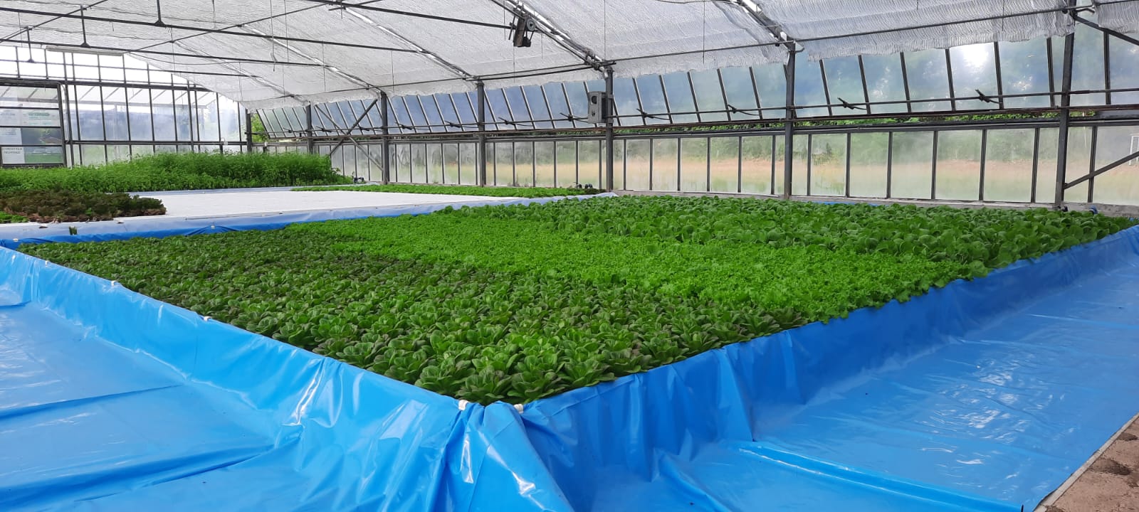 2_GreenHouse