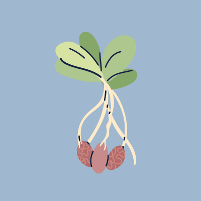 Grafica radici